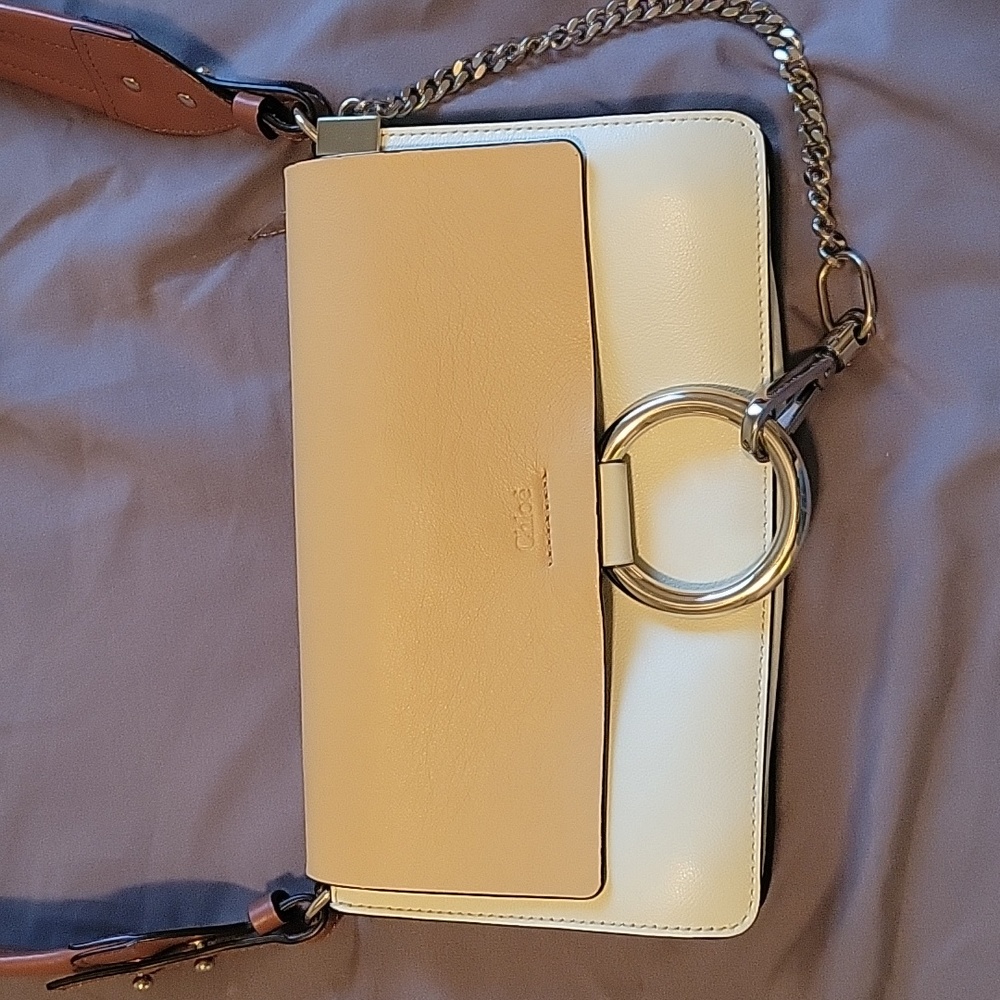 Special Edition Small Chloé Faye